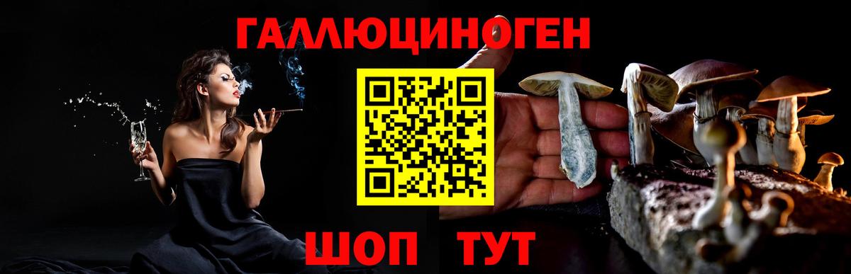 Псилоцибиновые грибы Magic Shrooms  магазин  наркотиков  Псилоцибиновые грибы GOLDEN TEACHER  Сосновоборск  Вход с VPN 